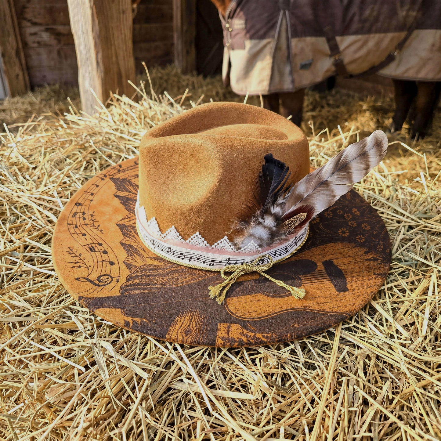 Suede Big Brim Cowboy Hat - Country Music Guitar